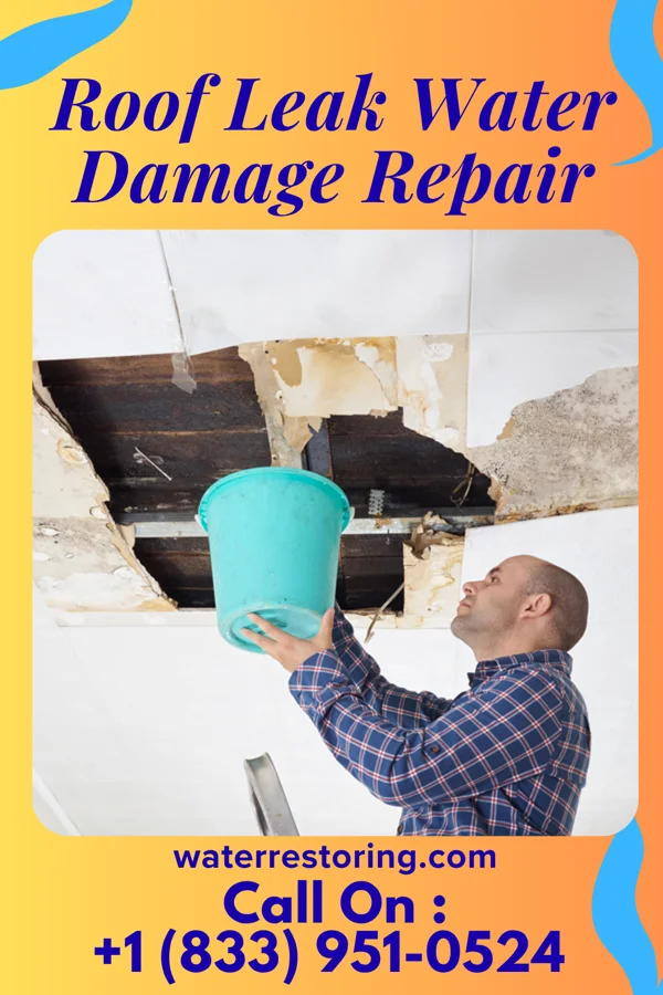 Roof Leak Water Damage Repair in Skyland, NV